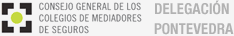 Consejo General de los Colegios de Mediadores de Seguros - Delegación Pontevedra